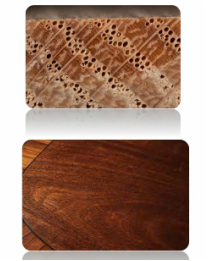 Wood grain porosity picture